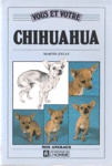 Vous et votre berger Chihuahua